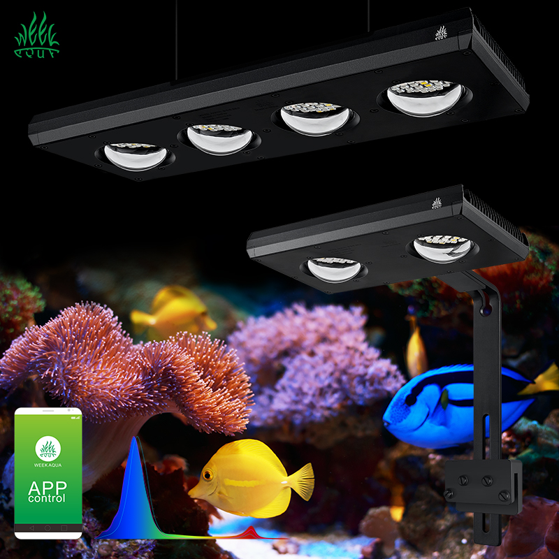 Marine Aquarium Led Lights - ZXY Heißer Verkauf WEEKAQUA Z250 Z400sea
