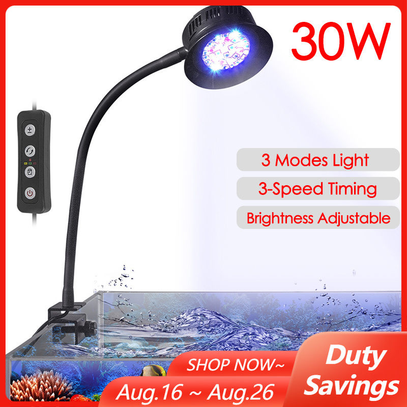 Marine Aquarium Reef - 30 W Aquarium Aquarium Meer Wasser