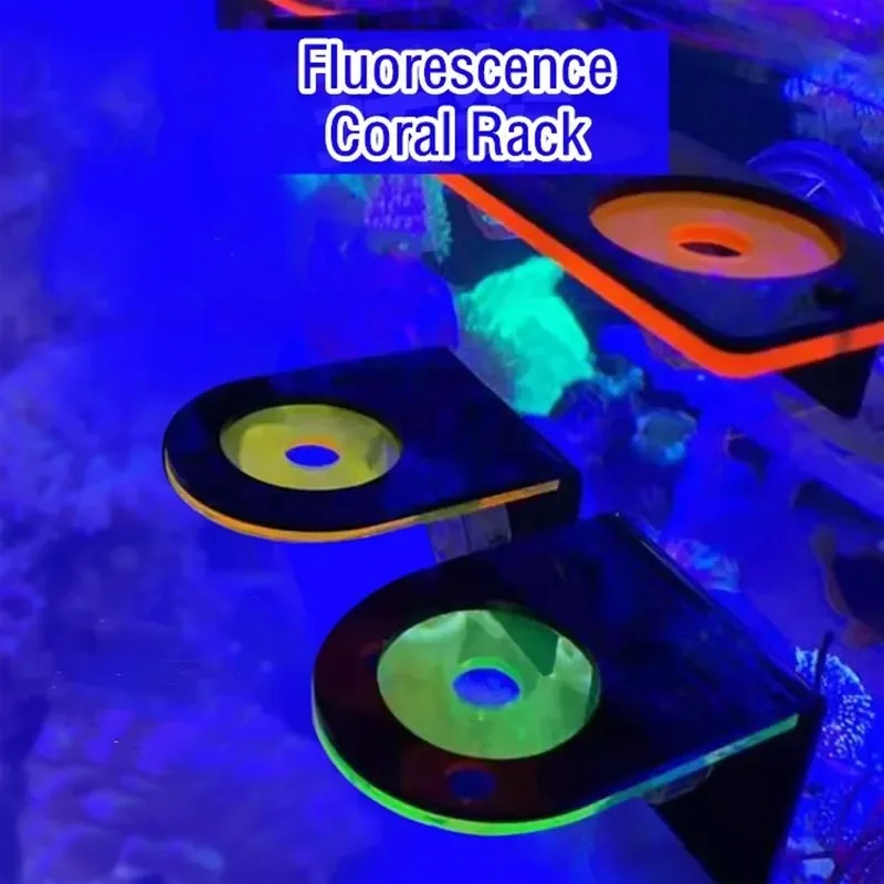 Marine Aquarium Reef - Aquarium Acryl Fluoreszierende Korallen Klammern Halter
