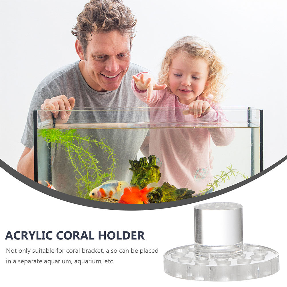 10 Stück Acryl-Korallenhalteru – Marine Aquarium Reef Bewertung und Preis