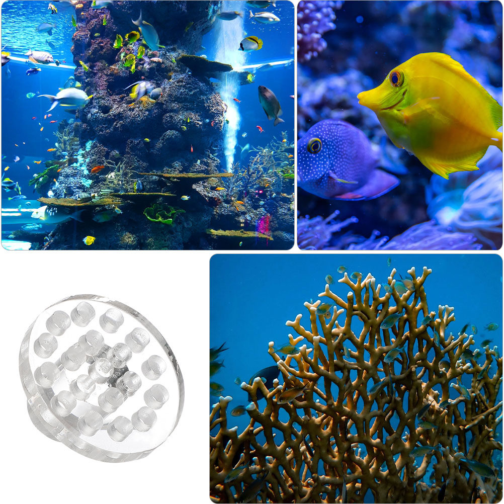 10 Stück Acryl-Korallenhalteru – Marine Aquarium Reef Bewertung und Preis