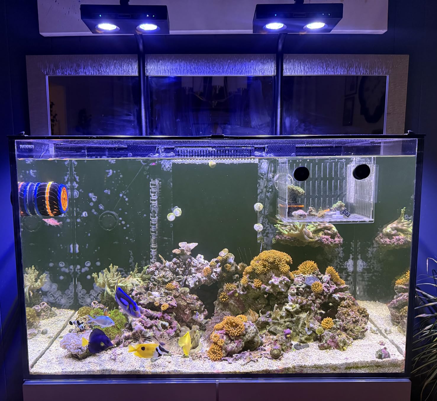 Hochleistungs-DIY-Spektrum 90W – Marine Aquarium Led Lights Bewertung und Preis
