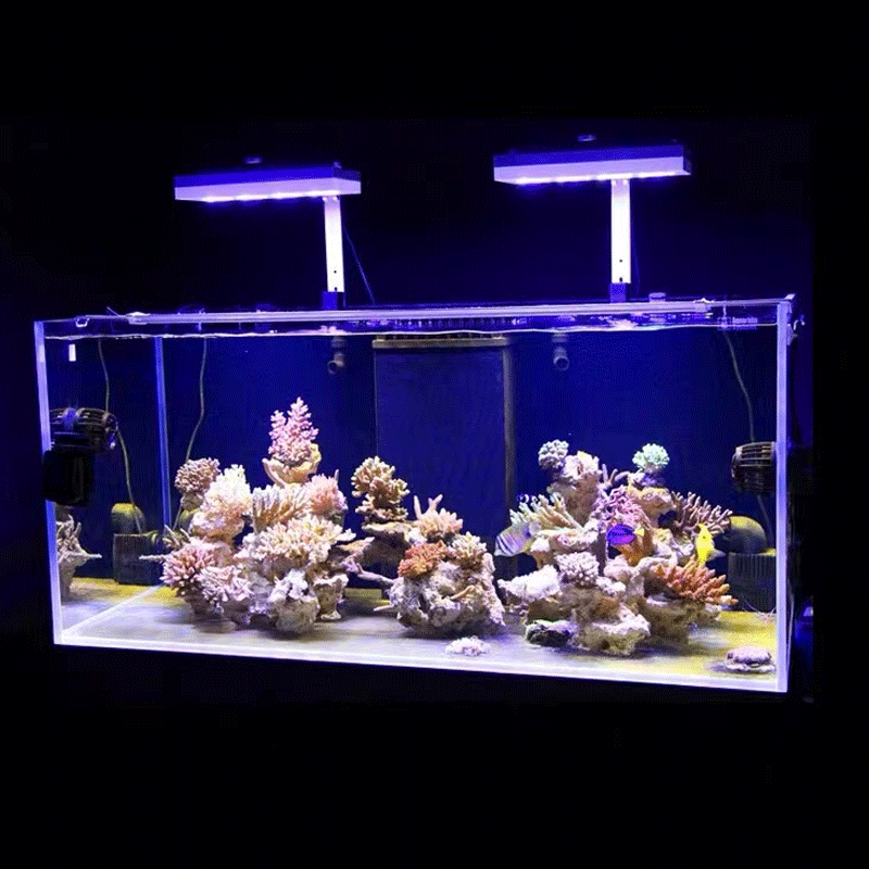 Aqua Lighting AI Hydra 32HD/64 – Marine Aquarium Led Lights Bewertung und Preis