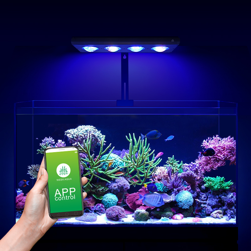 ZXY Heißer Verkauf WEEKAQUA Z2 – Marine Aquarium Led Lights Bewertung und Preis