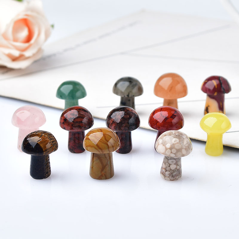 10 Stücke Natürliche Kristall  – Aquarium Marine Stone Bewertung und Preis