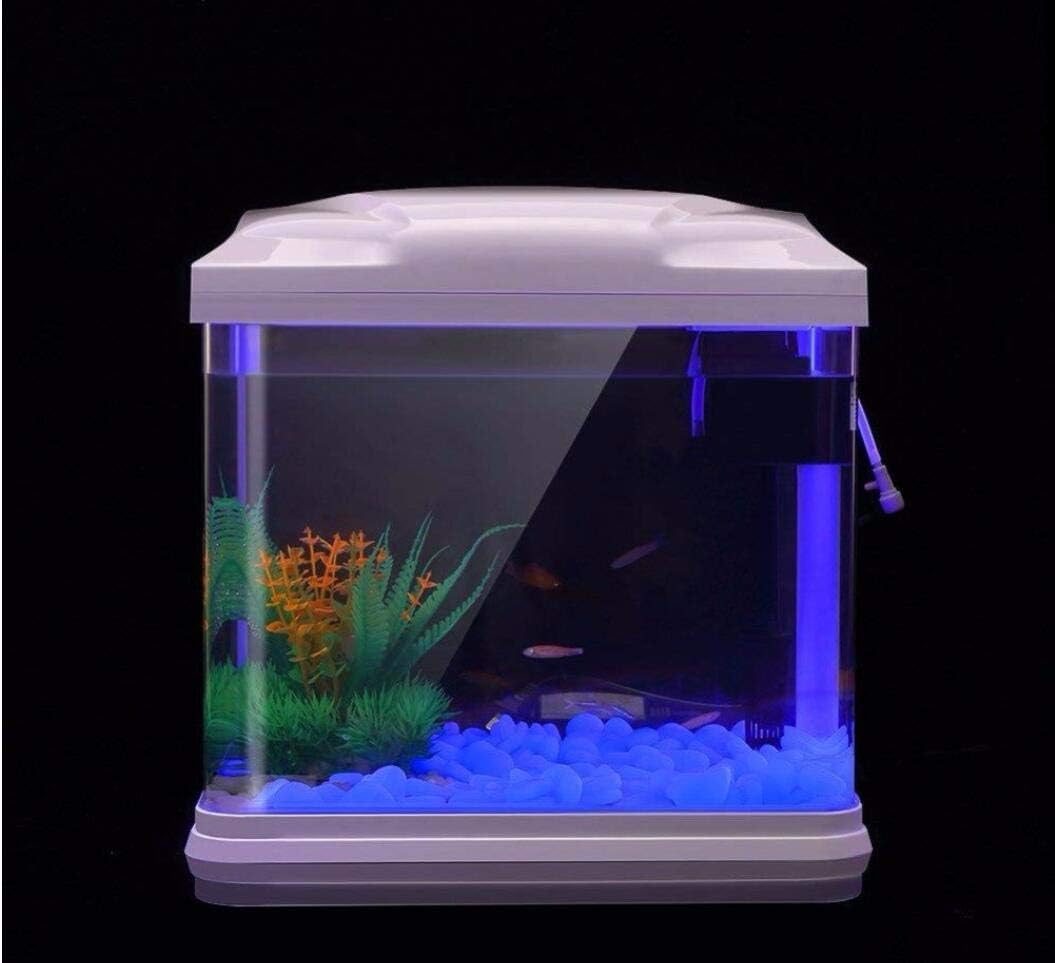 Aquarium-Felsen leuchten blaue – Aquarium Marine Stone Bewertung und Preis