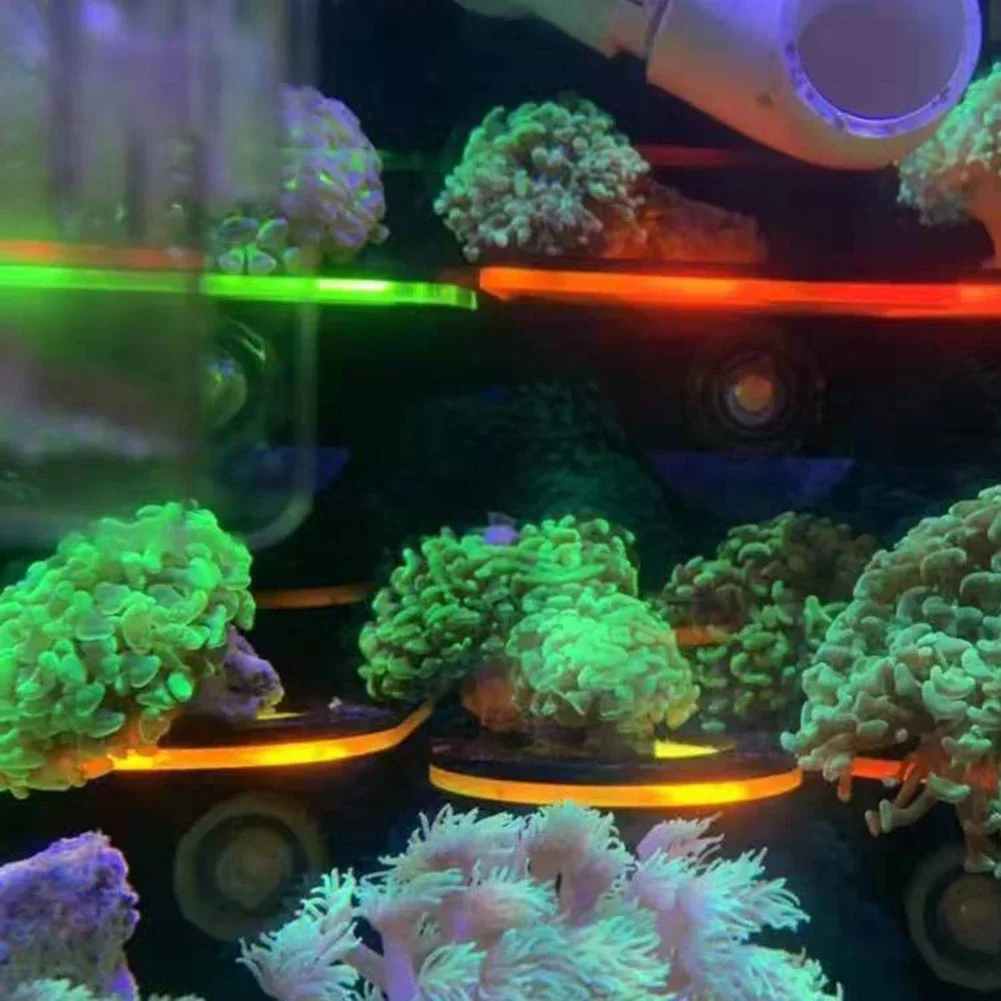 Aquarium Acryl Fluoreszierende – Marine Aquarium Reef Bewertung und Preis