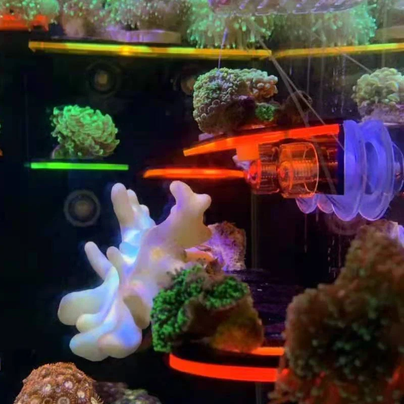 Aquarium Acryl Fluoreszierende – Marine Aquarium Reef Bewertung und Preis