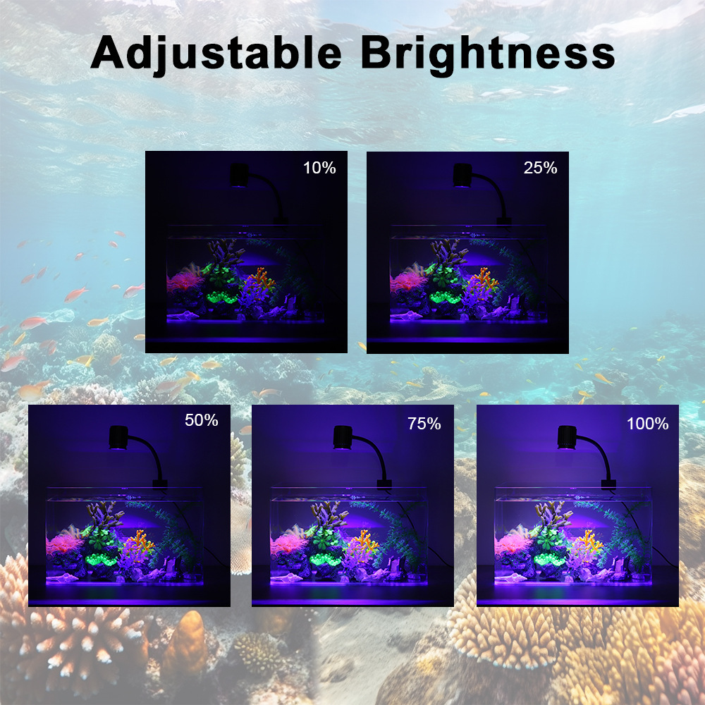 LED-Aquariumbeleuchtung Vollsp – Marine Aquarium Reef Bewertung und Preis